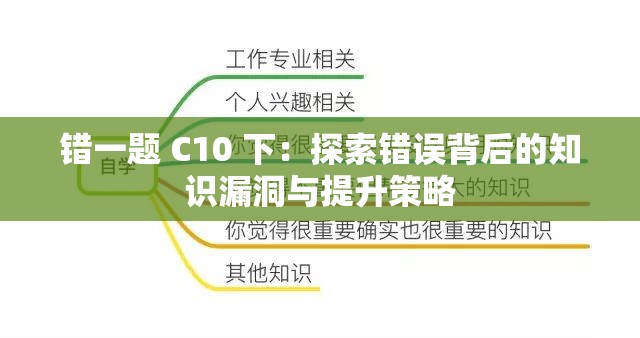 错一题 C10 下：探索错误背后的知识漏洞与提升策略