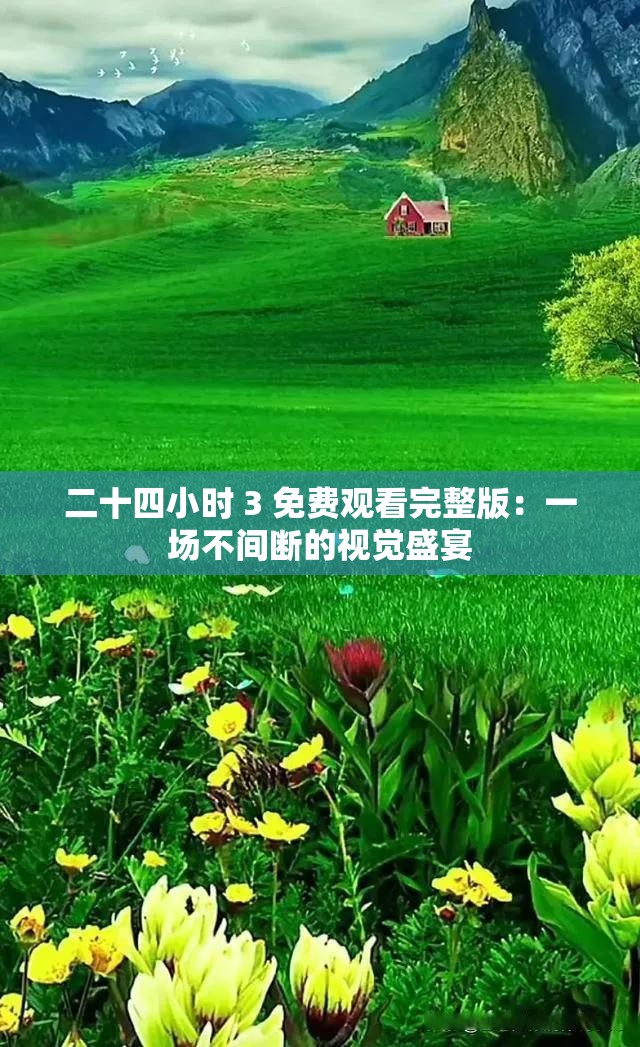 二十四小时 3 免费观看完整版：一场不间断的视觉盛宴