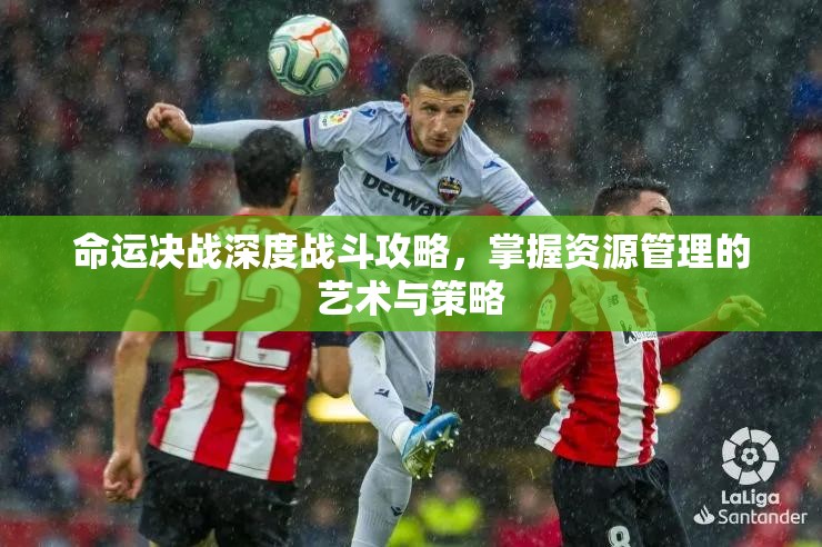 命运决战深度战斗攻略，掌握资源管理的艺术与策略