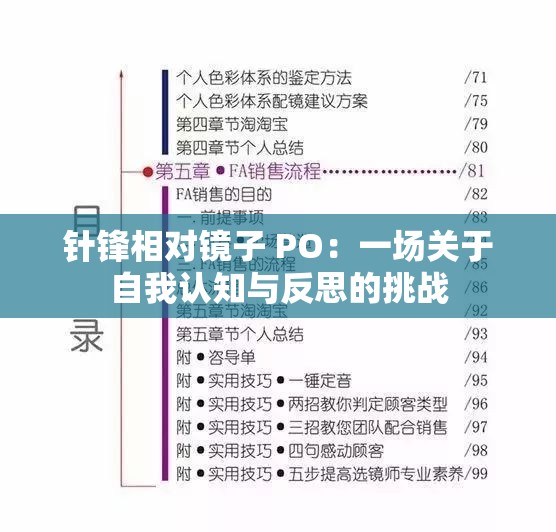 针锋相对镜子 PO：一场关于自我认知与反思的挑战