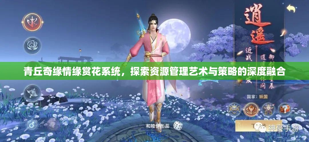 青丘奇缘情缘赏花系统，探索资源管理艺术与策略的深度融合