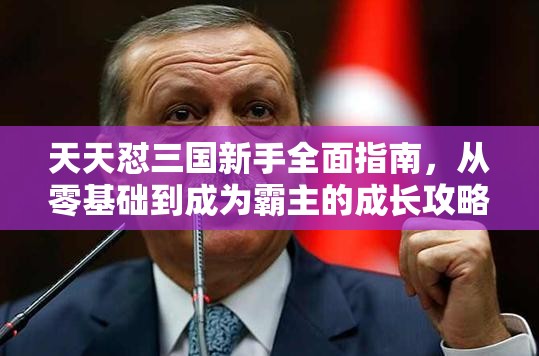 天天怼三国新手全面指南，从零基础到成为霸主的成长攻略