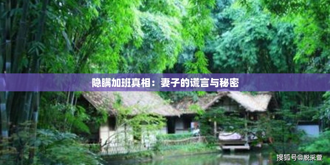 隐瞒加班真相：妻子的谎言与秘密