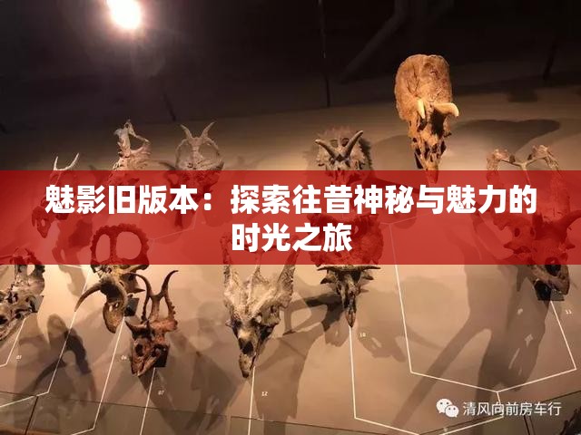 魅影旧版本：探索往昔神秘与魅力的时光之旅