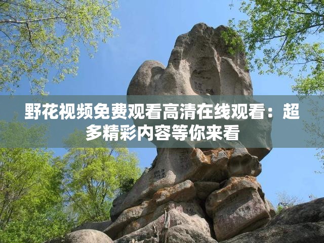 野花视频免费观看高清在线观看：超多精彩内容等你来看