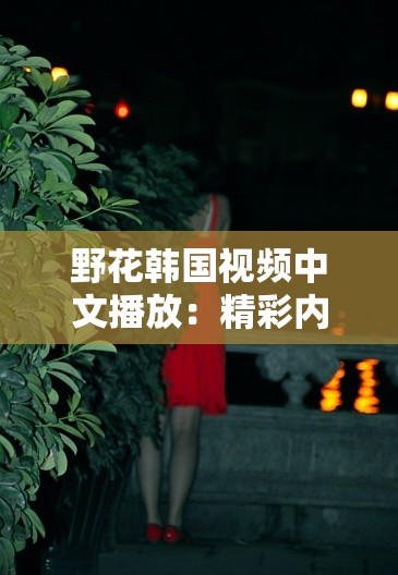 野花韩国视频中文播放：精彩内容不容错过
