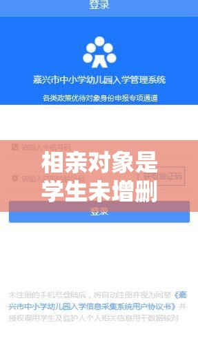 相亲对象是学生未增删翻译百度云：探寻背后的情感密码