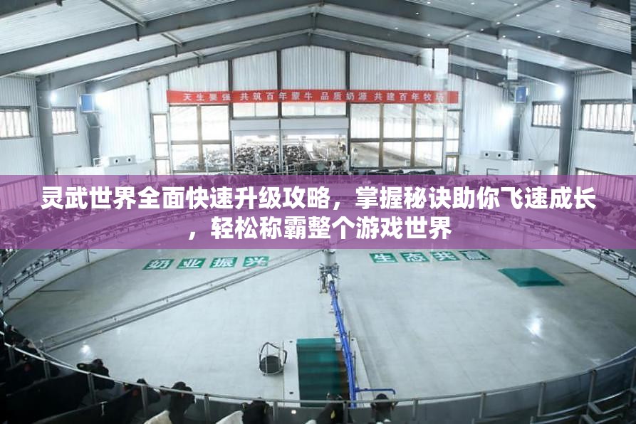 灵武世界全面快速升级攻略，掌握秘诀助你飞速成长，轻松称霸整个游戏世界