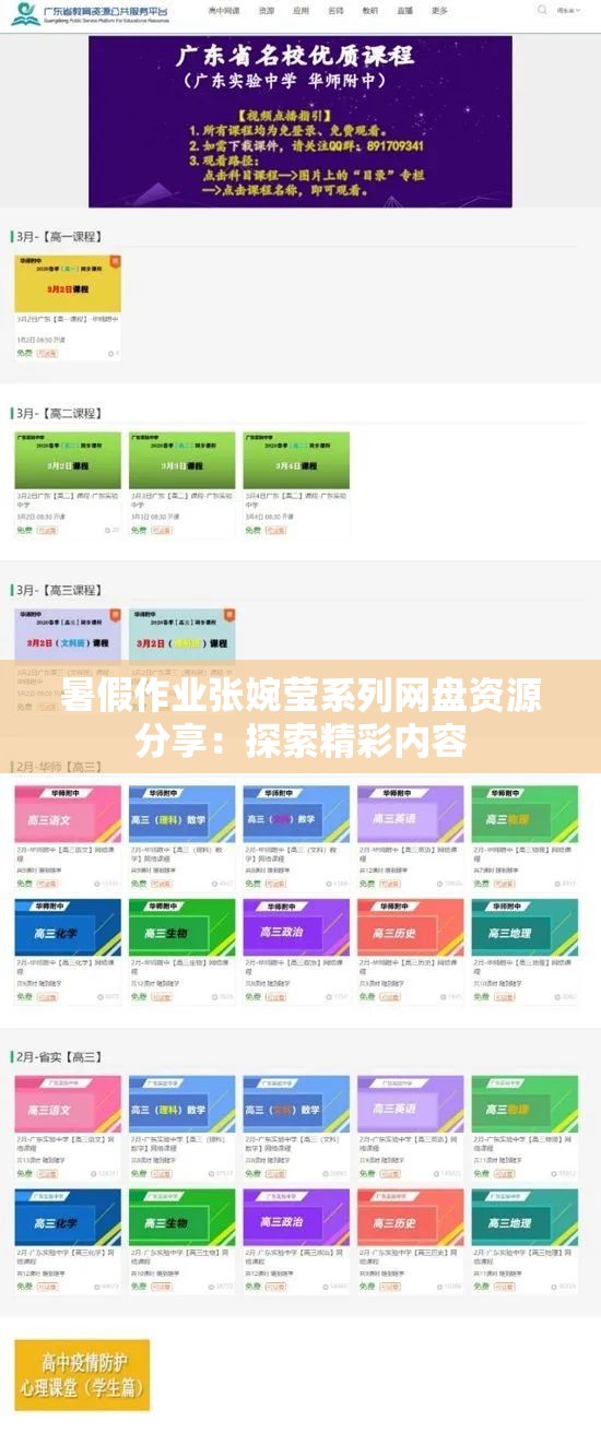 暑假作业张婉莹系列网盘资源分享：探索精彩内容