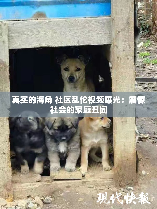 真实的海角 社区乱伦视频曝光：震惊社会的家庭丑闻