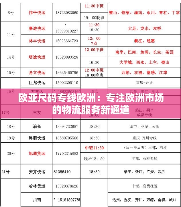 欧亚尺码专线欧洲：专注欧洲市场的物流服务新通道