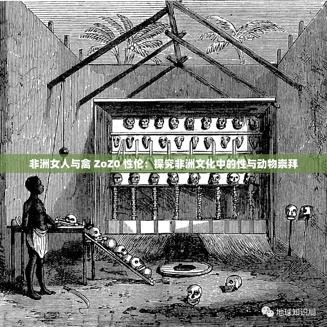 非洲女人与禽 ZoZ0 性伦：探究非洲文化中的性与动物崇拜