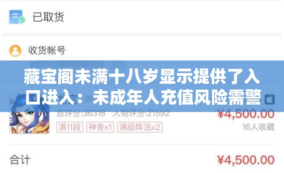 藏宝阁未满十八岁显示提供了入口进入：未成年人充值风险需警惕
