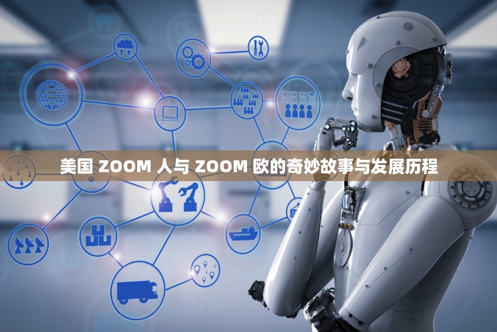 美国 ZOOM 人与 ZOOM 欧的奇妙故事与发展历程
