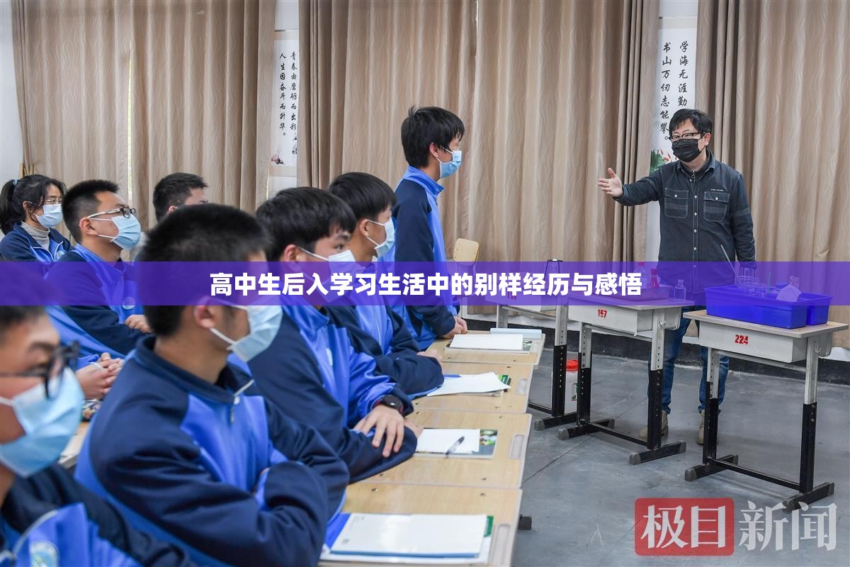 高中生后入学习生活中的别样经历与感悟