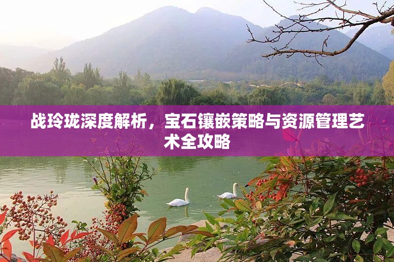 战玲珑深度解析，宝石镶嵌策略与资源管理艺术全攻略