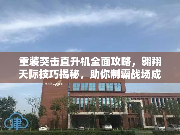 重装突击直升机全面攻略，翱翔天际技巧揭秘，助你制霸战场成为霸主