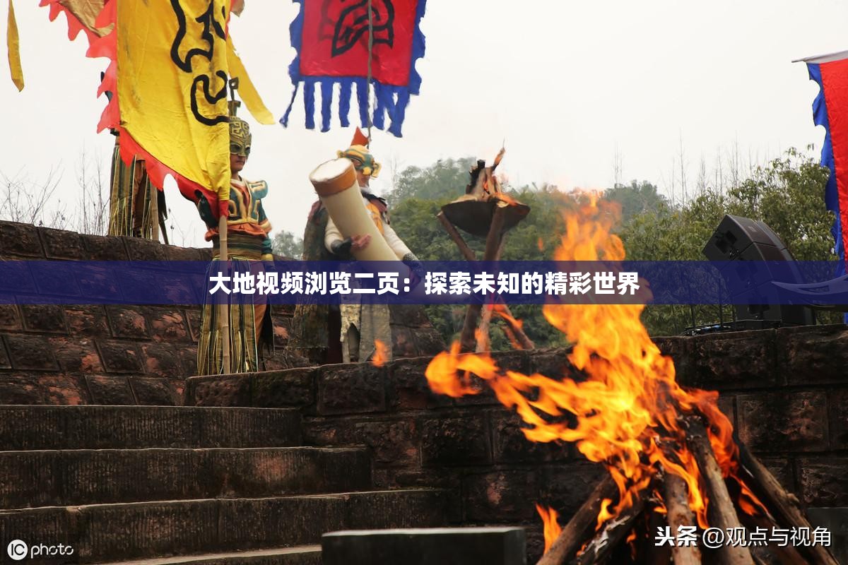 大地视频浏览二页：探索未知的精彩世界