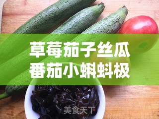 草莓茄子丝瓜番茄小蝌蚪极速流畅观看效果超棒体验