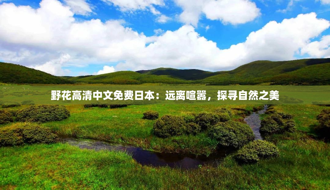 野花高清中文免费日本：远离喧嚣，探寻自然之美