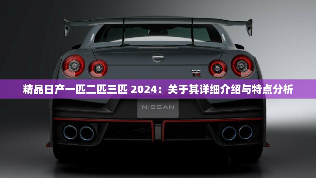 精品日产一匹二匹三匹 2024：关于其详细介绍与特点分析