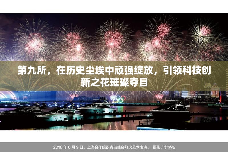 第九所，在历史尘埃中顽强绽放，引领科技创新之花璀璨夺目