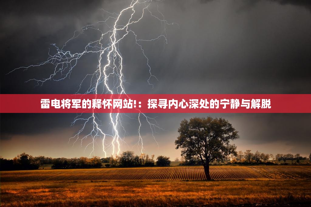 雷电将军的释怀网站!：探寻内心深处的宁静与解脱