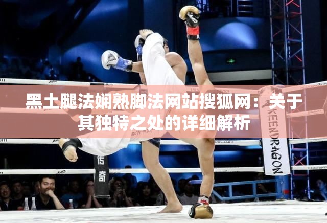 黑土腿法娴熟脚法网站搜狐网：关于其独特之处的详细解析