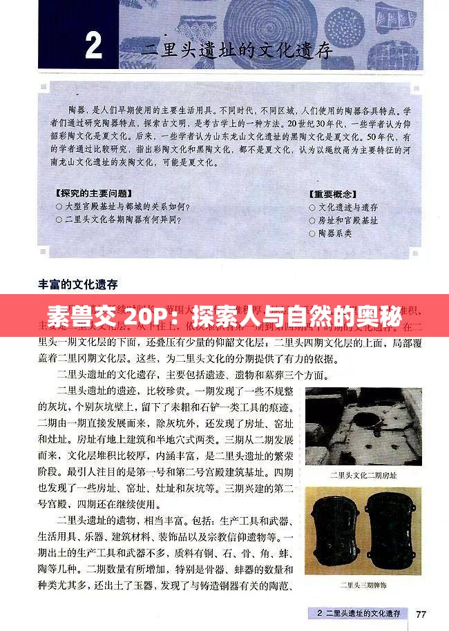 素兽交 20P：探索人与自然的奥秘