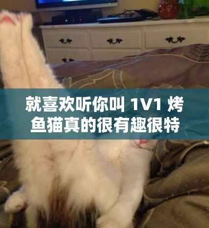 就喜欢听你叫 1V1 烤鱼猫真的很有趣很特别呢