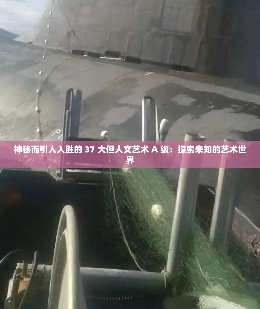 神秘而引人入胜的 37 大但人文艺术 A 级：探索未知的艺术世界