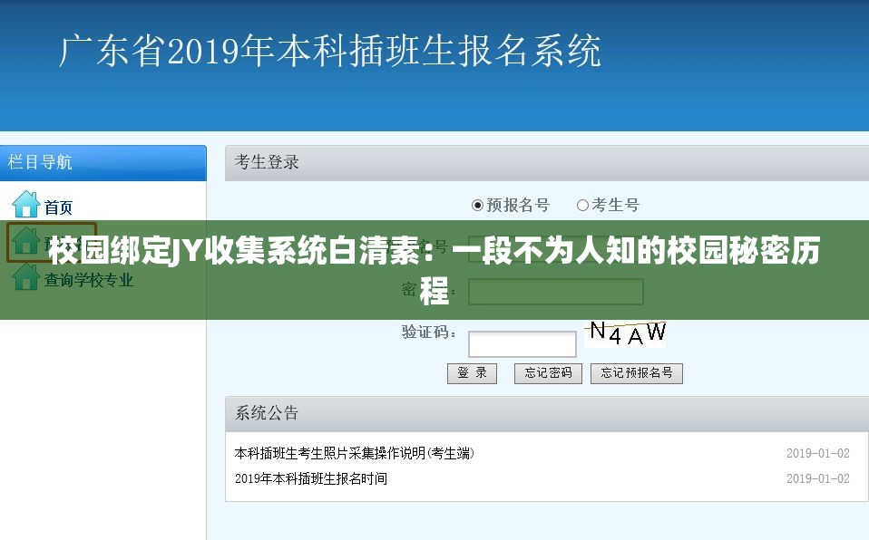 校园绑定JY收集系统白清素：一段不为人知的校园秘密历程