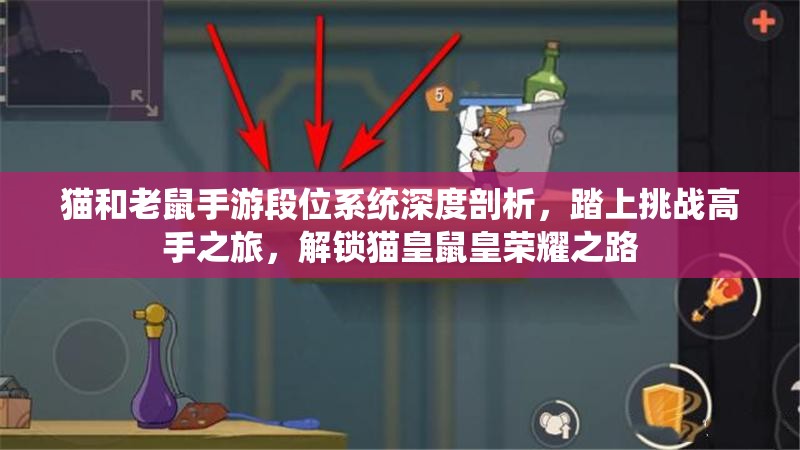 猫和老鼠手游段位系统深度剖析，踏上挑战高手之旅，解锁猫皇鼠皇荣耀之路