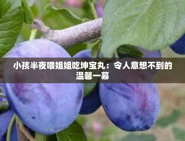 小孩半夜喂姐姐吃坤宝丸：令人意想不到的温馨一幕