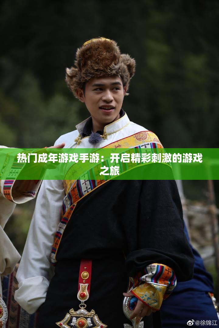 热门成年游戏手游：开启精彩刺激的游戏之旅