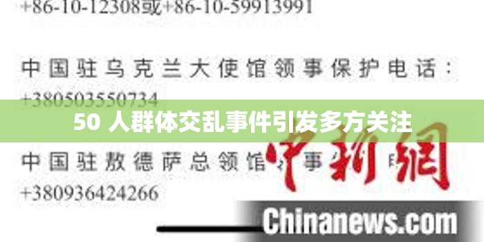 50 人群体交乱事件引发多方关注