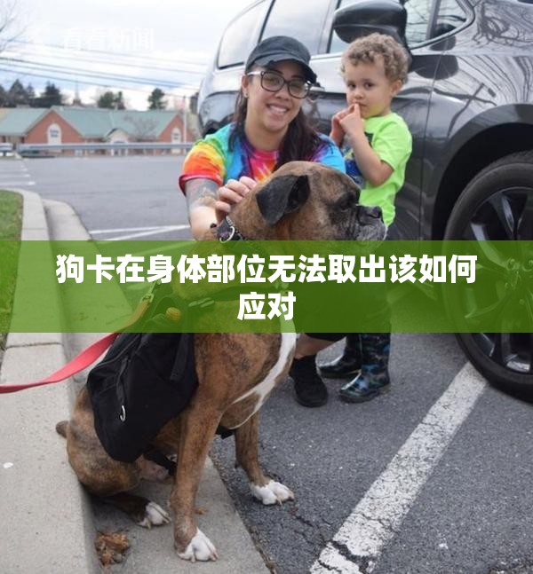 狗卡在身体部位无法取出该如何应对