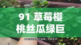 91 草莓樱桃丝瓜绿巨人秋葵榴莲：成人领域的热门之选