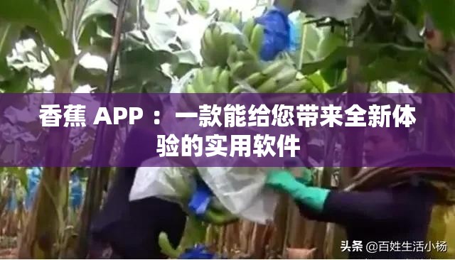 香蕉 APP ：一款能给您带来全新体验的实用软件