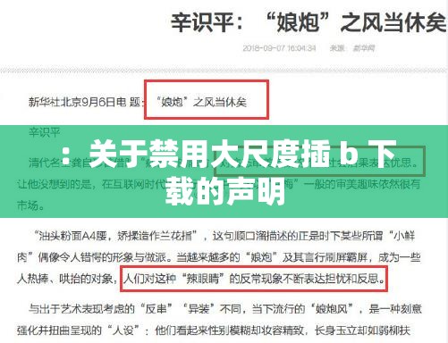 ：关于禁用大尺度插 b 下载的声明