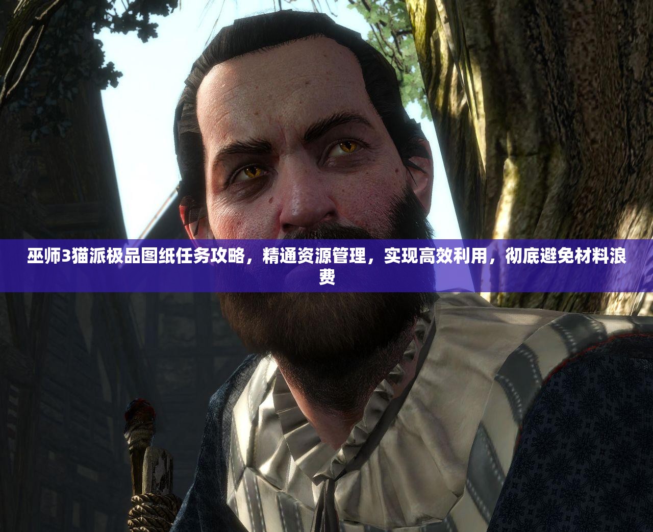 巫师3猫派极品图纸任务攻略，精通资源管理，实现高效利用，彻底避免材料浪费