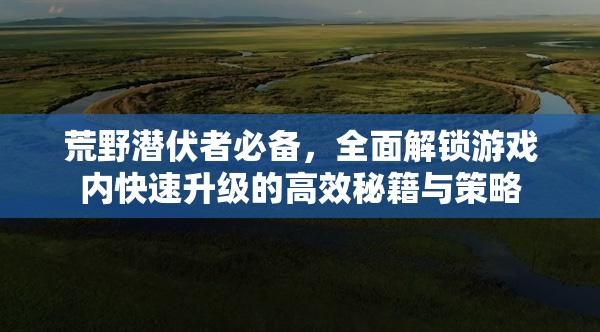 荒野潜伏者必备，全面解锁游戏内快速升级的高效秘籍与策略