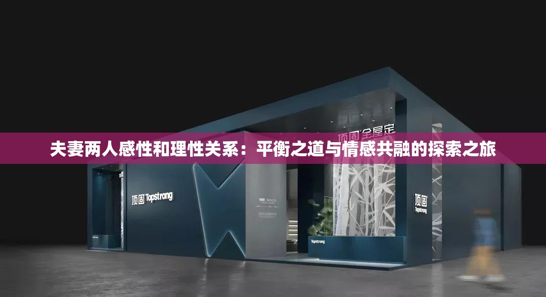 夫妻两人感性和理性关系：平衡之道与情感共融的探索之旅