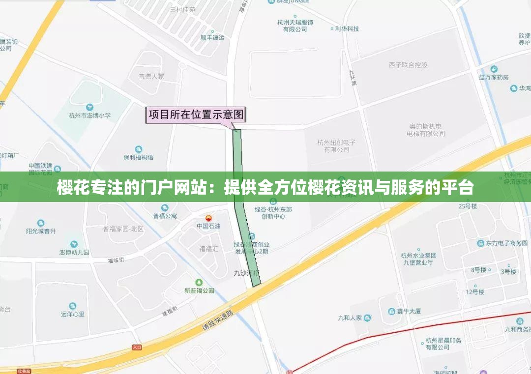 樱花专注的门户网站：提供全方位樱花资讯与服务的平台