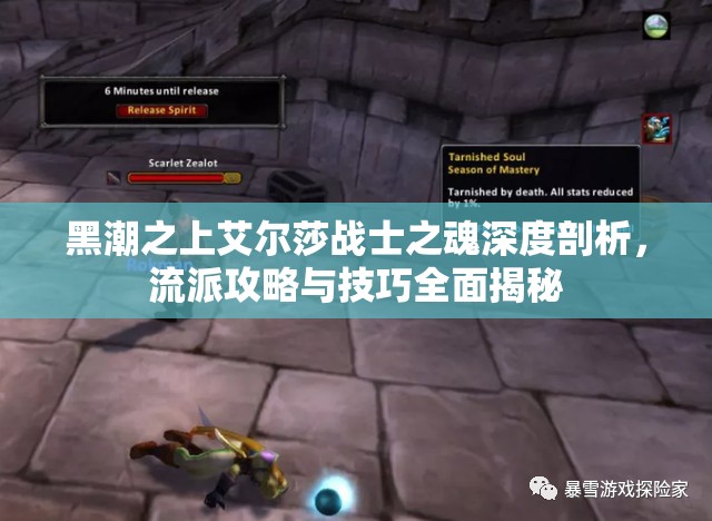 黑潮之上艾尔莎战士之魂深度剖析，流派攻略与技巧全面揭秘