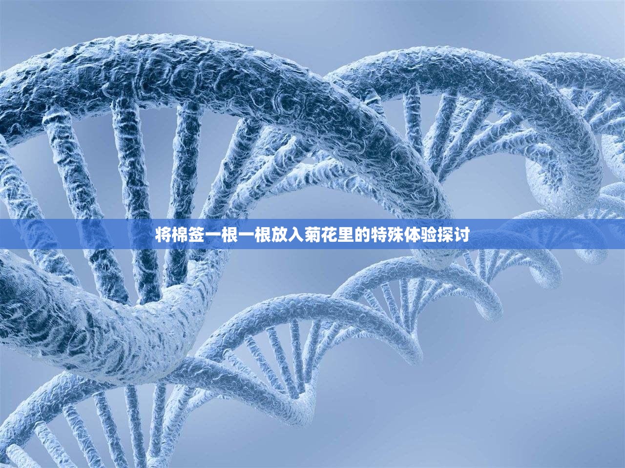 将棉签一根一根放入菊花里的特殊体验探讨