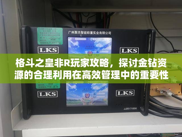 格斗之皇非R玩家攻略，探讨金钻资源的合理利用在高效管理中的重要性