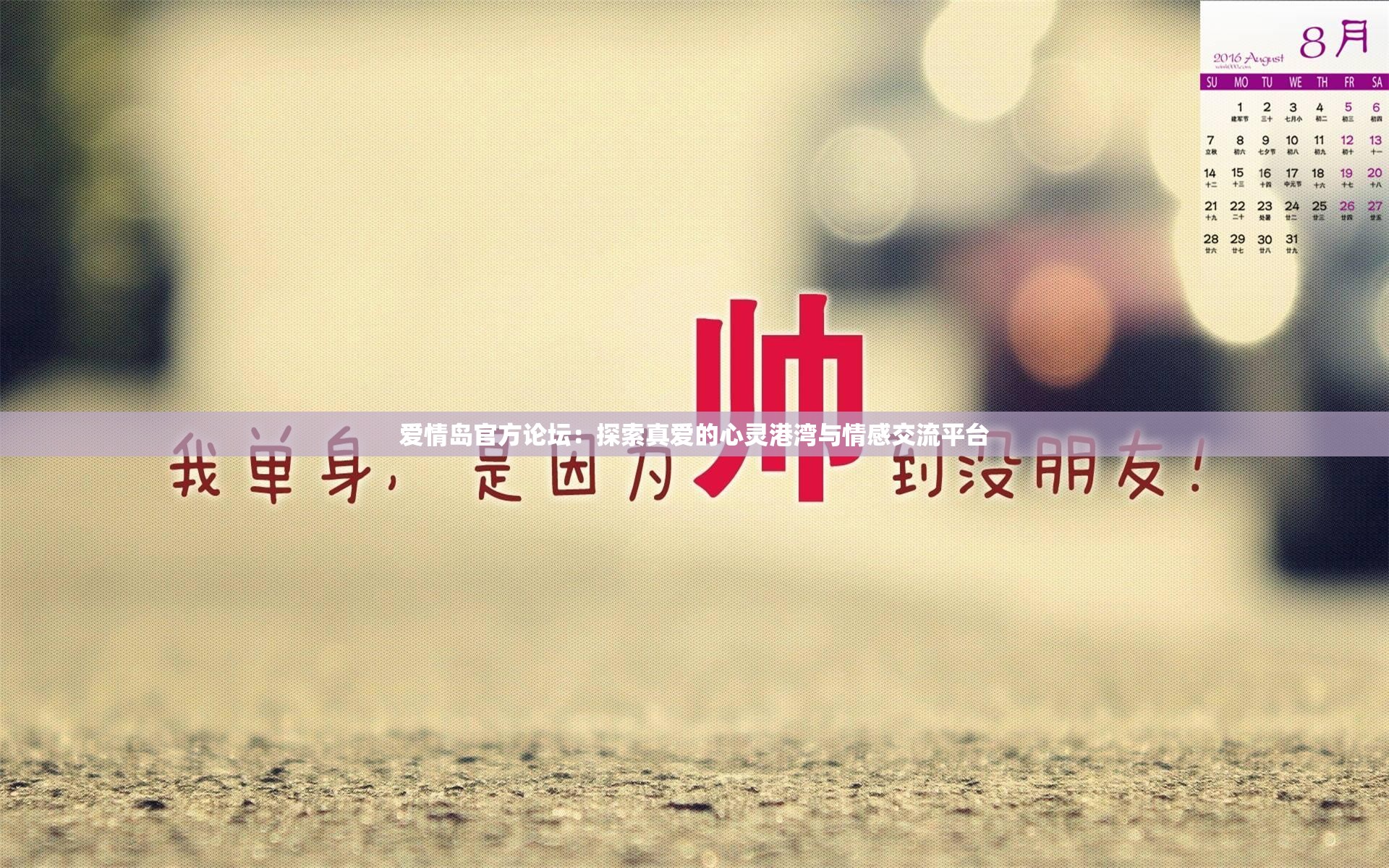 爱情岛官方论坛：探索真爱的心灵港湾与情感交流平台