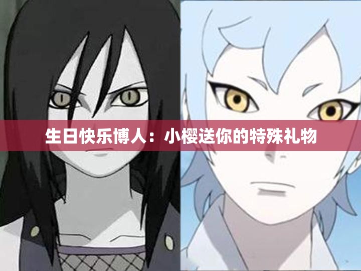生日快乐博人：小樱送你的特殊礼物