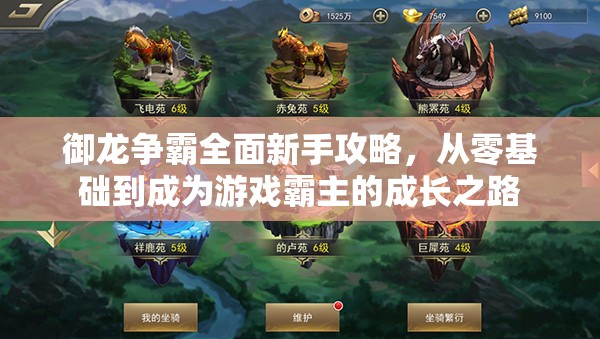 御龙争霸全面新手攻略，从零基础到成为游戏霸主的成长之路